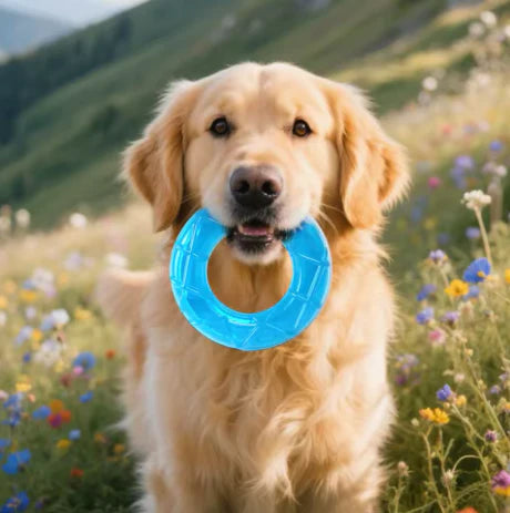 Premium Olyyra Cooling Toy