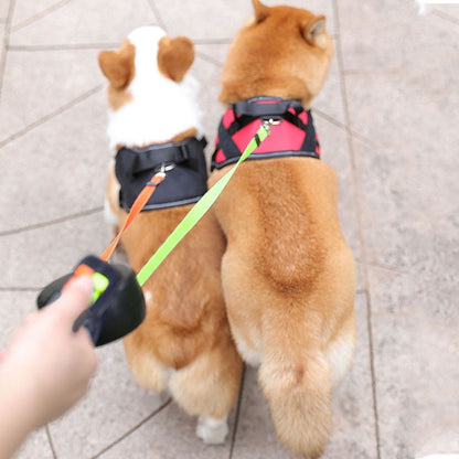 Olyyra Anti-Tangle Double Dog Leash for Easy Walks with Two Dogs