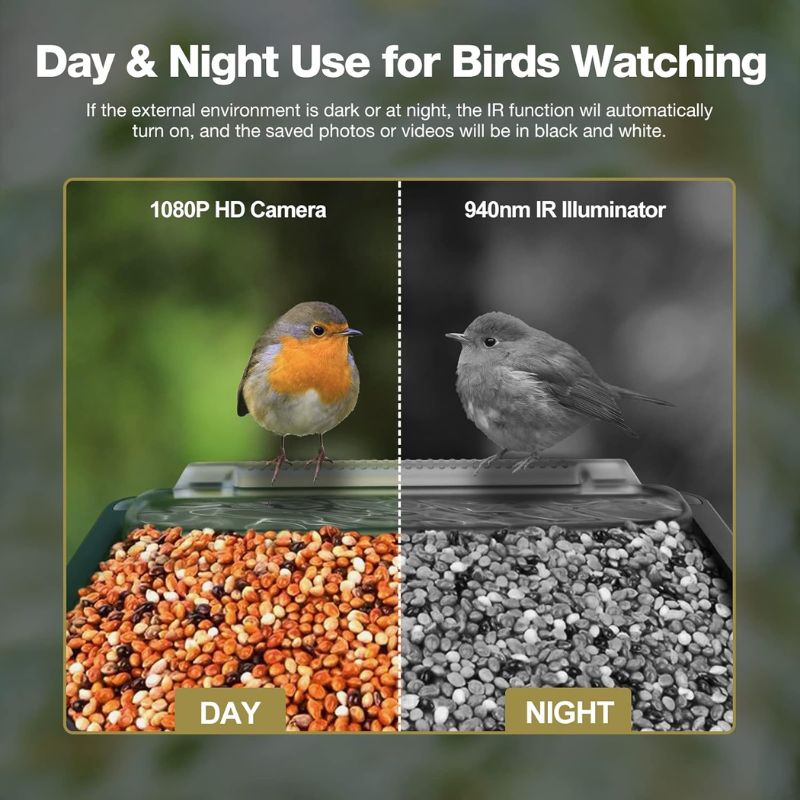 Olyyra Smart Bird Feeder with PIR Motion Detection Camera – 1080p HD Night Vision, 100° Wide Angle, Dual Feeding Troughs, Auto Capture | Backyard Bird Watching & Wildlife Camera
